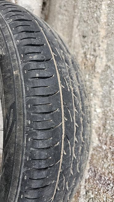 9 r20: Шины 185 / 65 / R 15, Лето, Запаска, Легковые, DUNLOP — 4