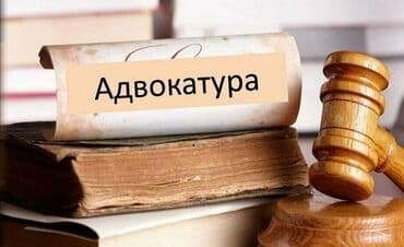 Лучшие юристы будут представлять Ваши интересы во всех государственных