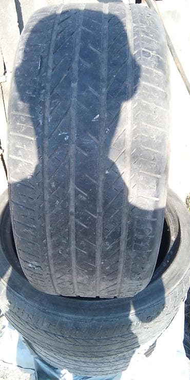 рига 22 купить: Шины 235 / 40 / R 19, Лето, Комплект, Легковые, Bridgestone — 2
