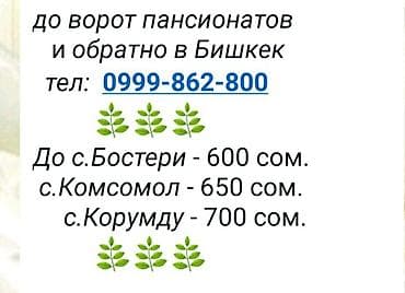go bus: Бишкек - Иссык-Куль. Бусы на Иссык-Куль. Прям до ворот пансионатов — 3