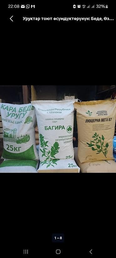 пшеница буудай: Семена кормовых растений: Люцерна — 1