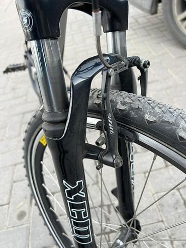 Балдар үчүн велосипеддер: Тоо велосипеди, Велосипед алкагы L (172 - 185 см), Алюминий, Колдонулган — 4