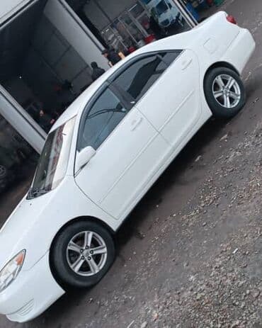 Бала бакчалар, бала багуучулар: Аренда авто по суточный . Прокат авто по суточный. Под выкуп нету. Под — 15