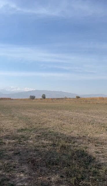 меняю дом на участок: 31 соток, Для строительства, Красная книга, Тех паспорт — 3