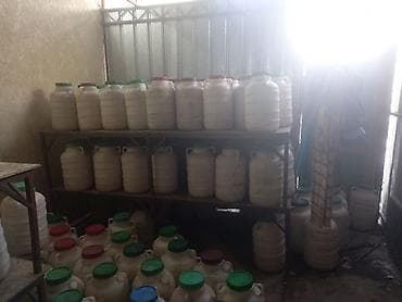 альпен голд: Бал токтогулдун тоо балы сатылат оптом продается мёд натуральный — 4
