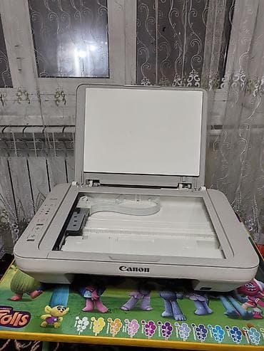 принтер canon 3в1: МФУ Canon PIXMA (серия MG) — струйное устройство «3 в 1»: принтер — 2