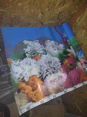 акустические системы atrix колонка в виде собак: Продаю аквариум длина1,40 см ширина 40 см высота 80 см толшина стекла — 7