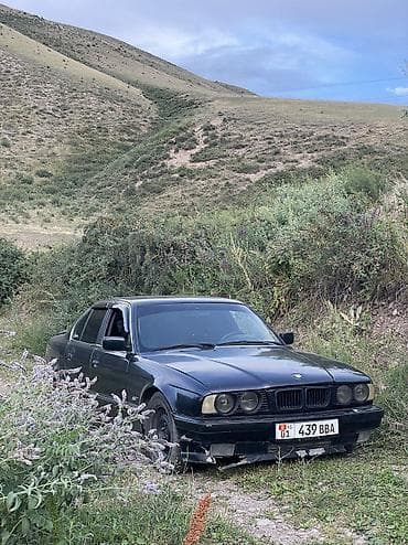 BMW 5 series: 1994 г., 2 л, Механика, Бензин, Седан — 2