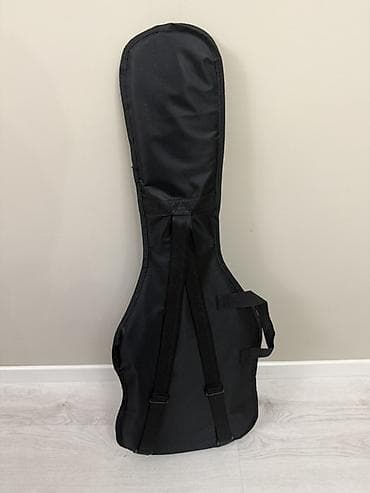 Электрогитара формата Stratocaster с чехлом - Корпус: классическая