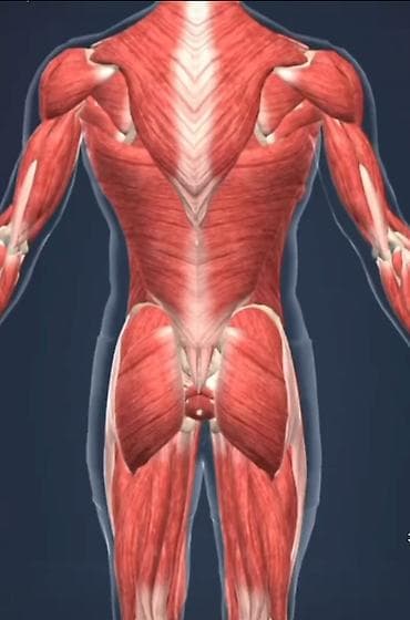 Массаж: Массаж | Сутулость, нарушение осанки | С выездом на дом, Консультация — 6