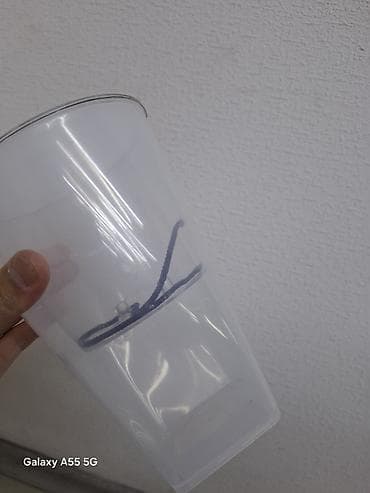 глоксиния сорта купить: Орхидея фаленопсис с контрастным окрашиванием лепестков: белая основа — 9