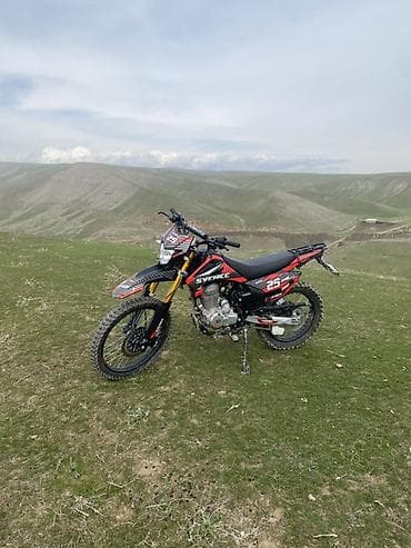 Эндуро 250 куб. см, Бензин — 2