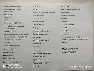 продаю постельное бельё: Морозник. Цветы. Первоцвет. Многолетник. Зимует без укрытия, может — 4