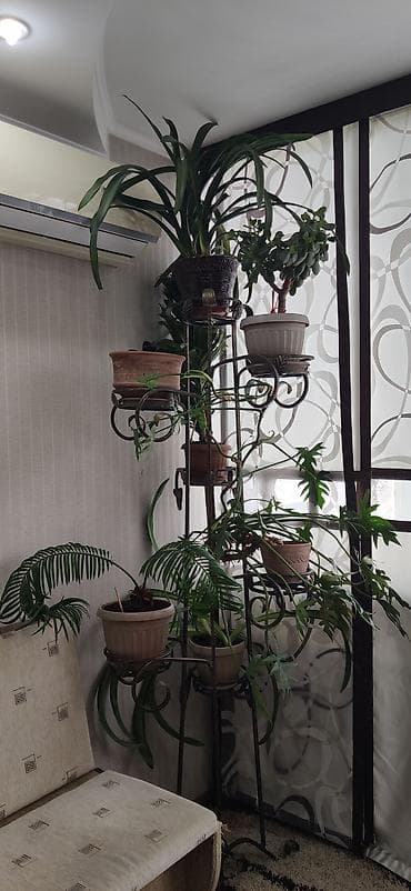 Полки, стеллажи: Полка, этажерка для цветов, Железо — 4