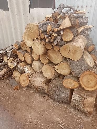 сады: Дрова Карагач, Платная доставка — 3