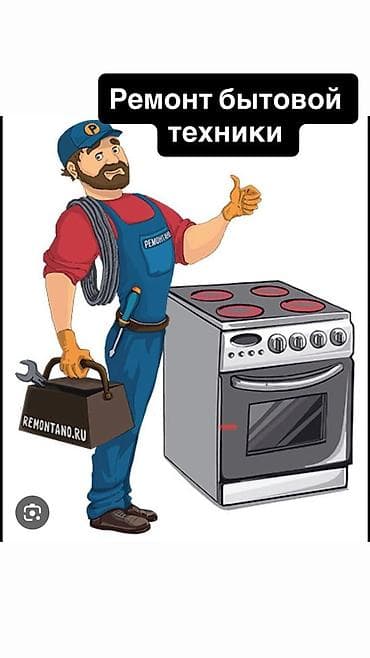 машинка обувной: Ремонт бытовой техники - Диагностика и ремонт кухонных плит, духовок — 1