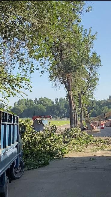 кел кел: ❗️Спил деревьев любой сложности❗️ 🌳 Предлагаем профессиональные — 1