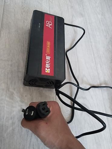 c 220: Зарядное устройство для электровелосипеда/электроскутера Kuai Chong Ge — 1