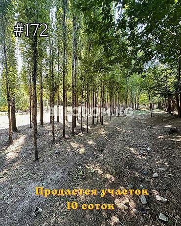 50: 10 соток — 1