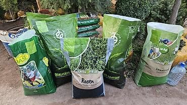 вечный спичка: Газонные семена и почвосмеси для газона - Марки: Green Field — 3