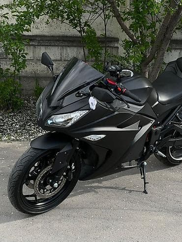 выхлоп акропович: Спортивный мотоцикл в агрессивном пластиковом обвесе, цвет матовый — 6