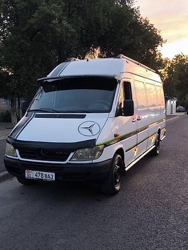 Mercedes-Benz Спринтер: 2004 г., 2.9 л, Механика, Дизель, Бус