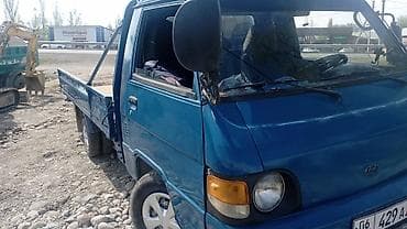 windom 20: Легкий грузовик, Hyundai, Стандарт — 2