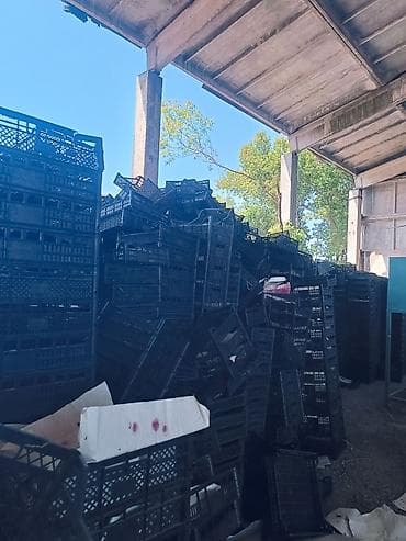 почта ящик: Пластиковый Ящик, Новый — 2