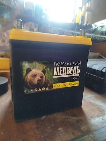 Аккумулятор автомобильный Тюменский Медведь Ca+ - Тип