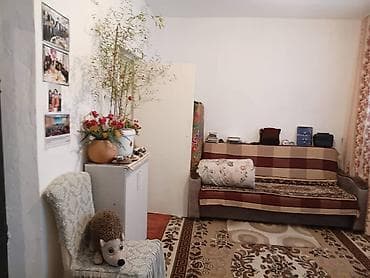 аренда квартир аламедин 1: Дом с участком и огородом - Отдельно стоящий одноэтажный дом из — 8