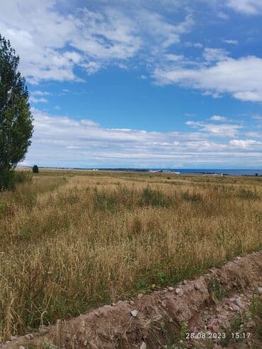 аренда дома на иссык куле: 66 соток, Для сельского хозяйства, Тех паспорт, Договор купли-продажи, Генеральная доверенность — 5