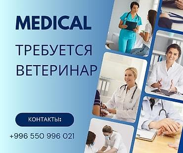 ТТС, унаа бизнеси: Вакансия: ветеринар Организация Medical ищет ветеринара. На — 1