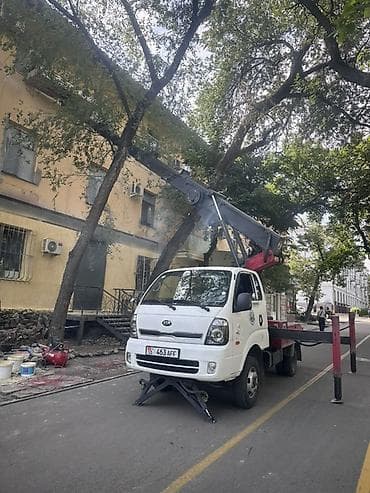 улица: Услуги автовышки (люльки) на базе компактного грузовика Kia — 2