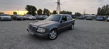 дерево на 124: Mercedes-Benz W124: 1993 г., 3.2 л, Механика, Бензин, Седан — 10