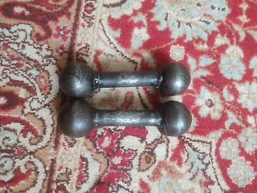 обувь 37: Пара разборных гантелей “шары” из цельнолитого металла. - Тип — 1