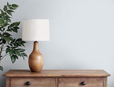 Үй жана бакча: Өлкө: Орусия, Принт түрү: Сүрөтү жок, Жаңы — 2