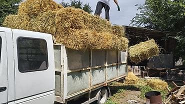 такси авто: Грузовое такси на бортовом Спринтере. Услуги: - Перевозка грузов в — 8