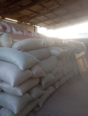 продам козу дойную: Семина клевер ест прошлогодний 1 тона и уражай етого года 1,600 кг — 4