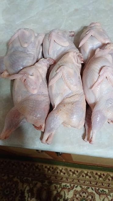 Перепел :, До 1 кг