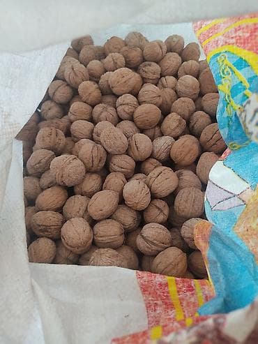 Грецкие орехи в скорлупе - Цельные, натуральные, отборные орехи в