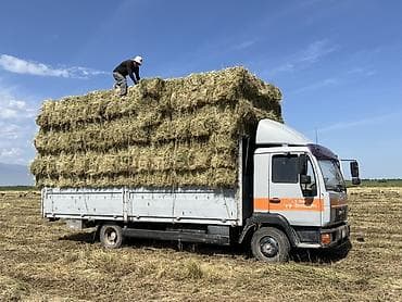 жумуш кладка: Услуги бортового грузовика MAN До 9 тонн Кара балта Бишкек Доставка — 2