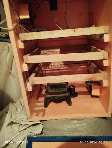 инкубаторы мини: Инкубаторы — 1