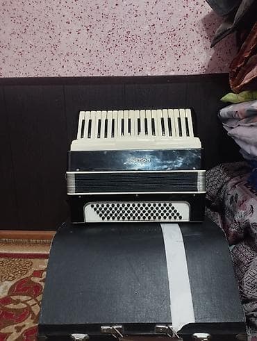 водная техника: Аккордеон «Аккорд» - Клавиатурная сторона: 37 клавиш (белая — 2