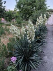 сниму дом недорого: Дом, 1441 м², 8 комнат — 45