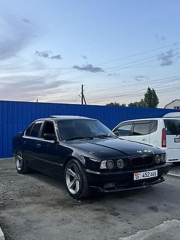 решетка нью райс: BMW 5 series: 1993 г., 2.3 л, Седан — 3