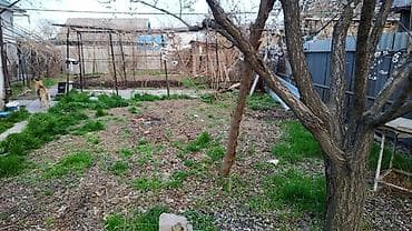 green hill: Продается дом с большим участком.Коммуникации все — 10