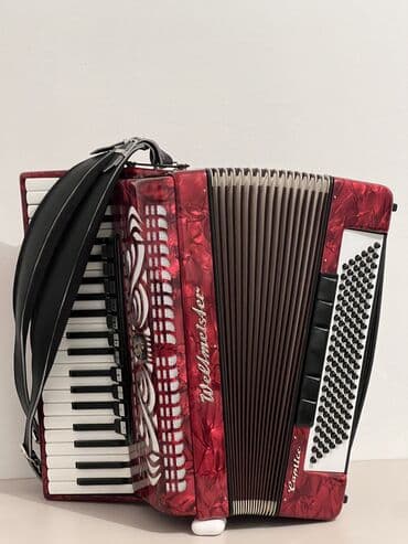 аккордион ош: Weltmeister caprice 4/4
Состояние мама мама — 3