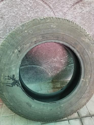 r 16: Шины R 16, Лето, Б/у, 1 шт, Легковые, Чехия, Continental — 6