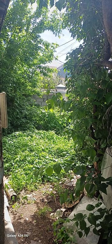 Земельные участки: 5 соток, Красная книга, Тех паспорт — 3