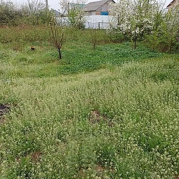 ак тилек ж м: 5 соток, Курулуш, Техпаспорт — 3